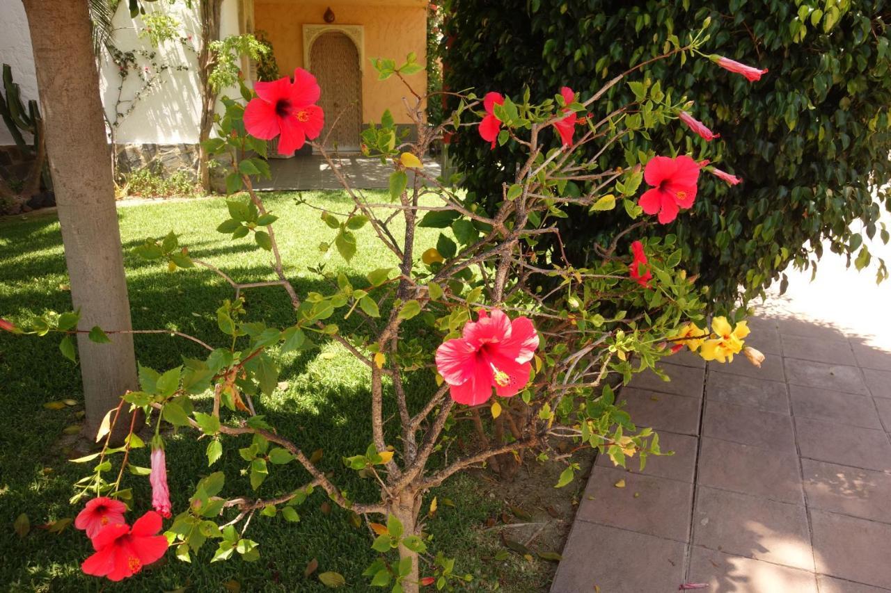 Vera Playa Spain - La Menara Naturist Complex - Eagles Nest - Penthouse Exterior photo